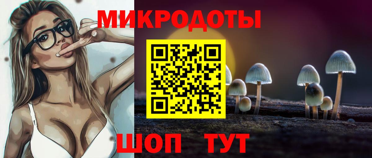 Галлюциногенные грибы Psilocybine cubensis  Вход с VPN  Калининград 